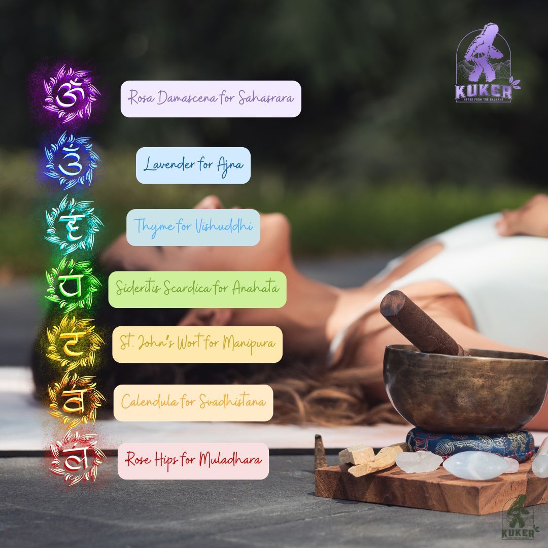 KUKER® Chakra Tea for Yoga 50g - Image 3